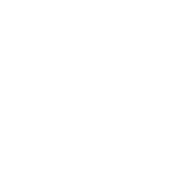 CrossFit Scaligera / Hyrox Training Club